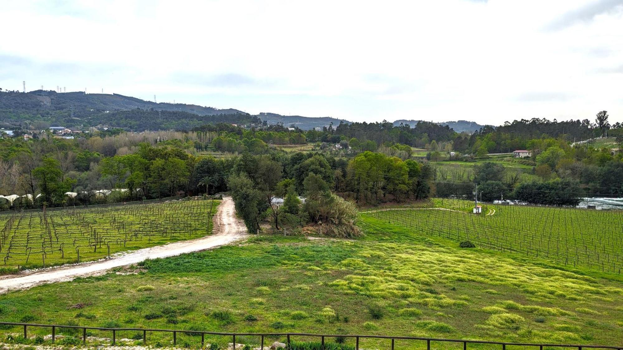 Quinta Do Burgo - Nature Hotel Amares Exteriör bild