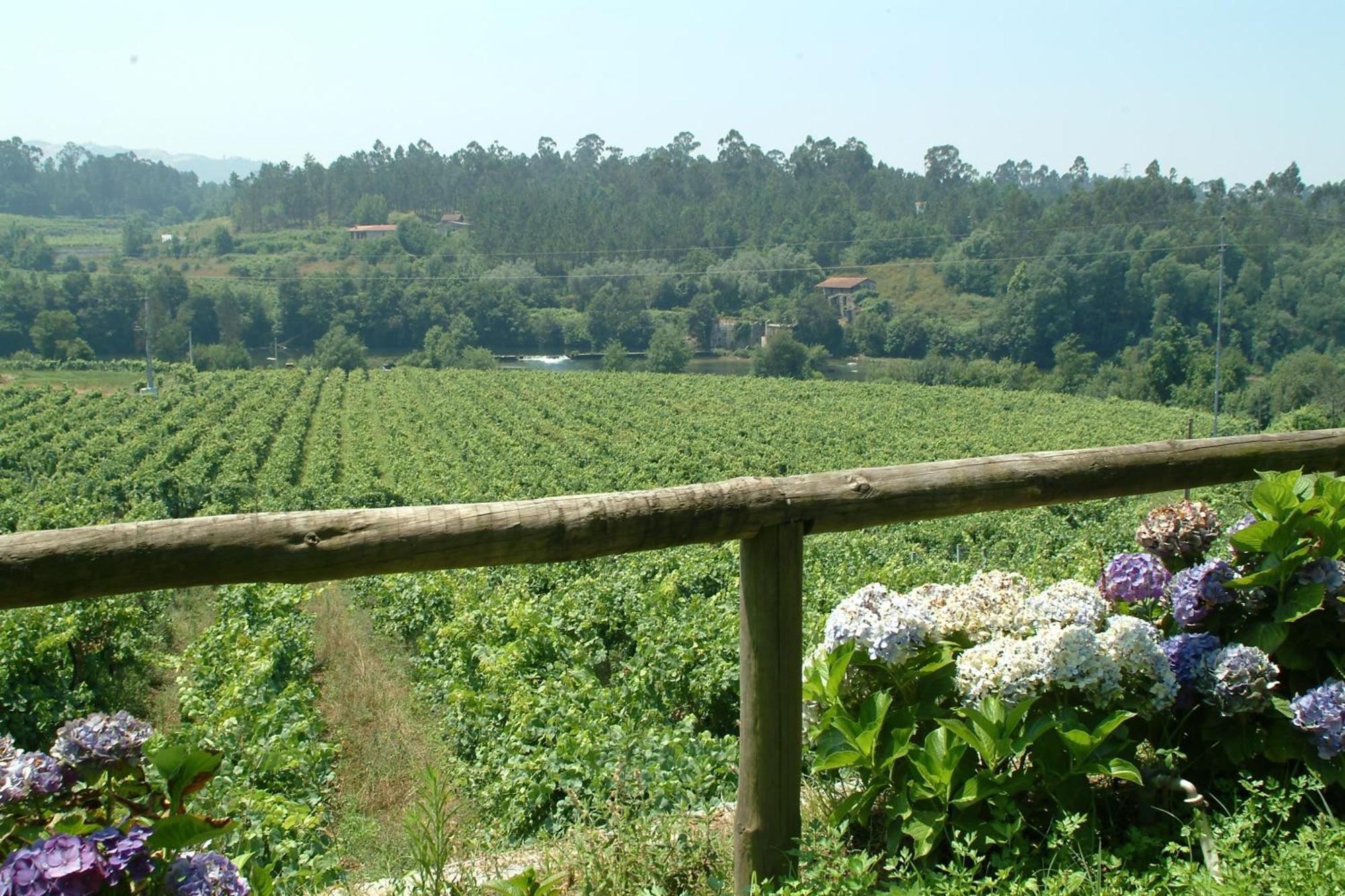 Quinta Do Burgo - Nature Hotel Amares Exteriör bild